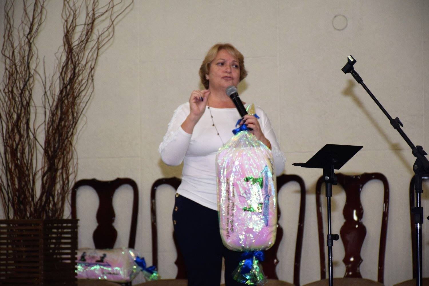 25182001_1771020389638363_7098566982036208306_o